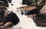 玉龍?jiān)?、響水?></a></dd>
  <dd>
	 

	

	 

	　　雨母山西北一個(gè)山皂，東西縱向長(zhǎng)達(dá)1公里。有叫玉龍?jiān)?，有叫響水皂。該皂有響水泉和響水瀑布。在玉龍?jiān)砼c九龍沖相隔的山坳，叫玉龍騰山坳，簡(jiǎn)稱(chēng)玉龍坳。玉龍土皂現(xiàn)駐有供電所、林場(chǎng)和蒸湘區(qū)黨校。在玉龍?jiān)淼祝幸蝗_(tái)，叫玉龍臺(tái)。...[<a href=