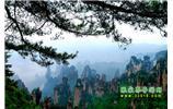 【純玩獨(dú)立成團(tuán)線(xiàn)路1】張家界、袁家界、天子山、寶峰湖/黃龍洞二晚三日