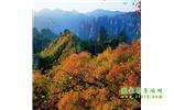 長沙往返張家界、天子山、寶峰湖/黃龍洞三日游