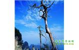 湘西之旅：張家界、天子山、寶峰湖/黃龍洞、鳳凰古城、猛洞河漂流、天門山六日游