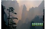 張家界國家森林公園、寶峰湖/黃龍洞、鳳凰古城、三峽八日游