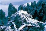【純玩散拼線路17】張家界、天子山、芙蓉鎮(zhèn)、猛洞河漂流、鳳凰古城三晚四日游